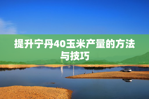 提升宁丹40玉米产量的方法与技巧