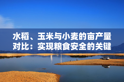 水稻、玉米与小麦的亩产量对比：实现粮食安全的关键因素