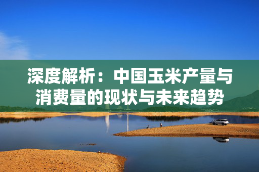 深度解析：中国玉米产量与消费量的现状与未来趋势