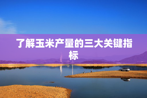 了解玉米产量的三大关键指标