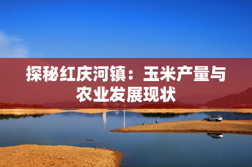 探秘红庆河镇：玉米产量与农业发展现状