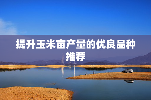 提升玉米亩产量的优良品种推荐