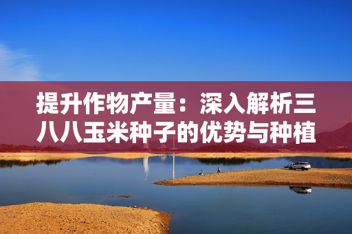 提升作物产量：深入解析三八八玉米种子的优势与种植技巧
