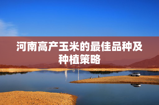 河南高产玉米的最佳品种及种植策略