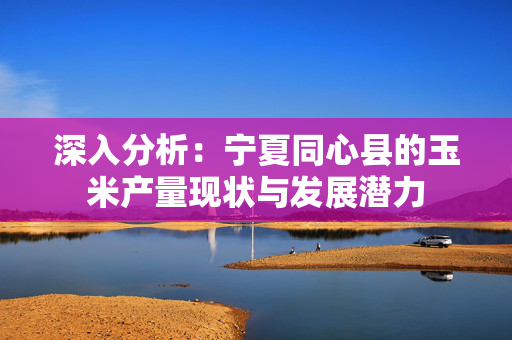 深入分析：宁夏同心县的玉米产量现状与发展潜力