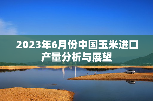 2023年6月份中国玉米进口产量分析与展望
