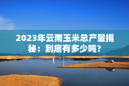 2023年云南玉米总产量揭秘：到底有多少吨？