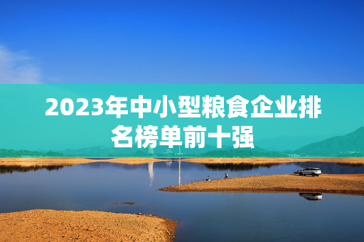 2023年中小型粮食企业排名榜单前十强