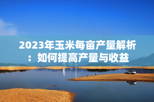 2023年玉米每亩产量解析：如何提高产量与收益