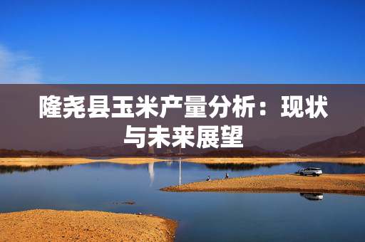 隆尧县玉米产量分析：现状与未来展望