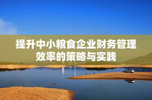 提升中小粮食企业财务管理效率的策略与实践