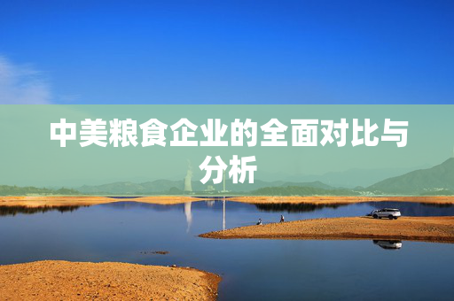 中美粮食企业的全面对比与分析