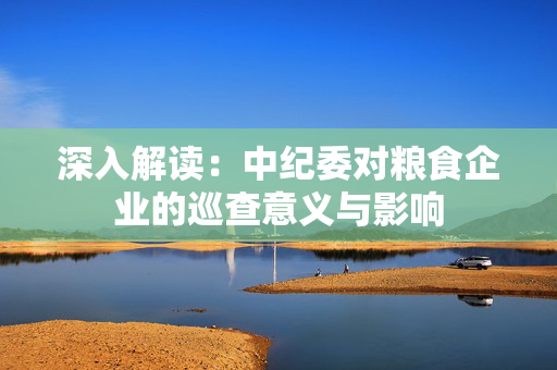 深入解读：中纪委对粮食企业的巡查意义与影响