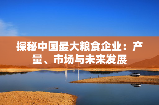 探秘中国最大粮食企业：产量、市场与未来发展