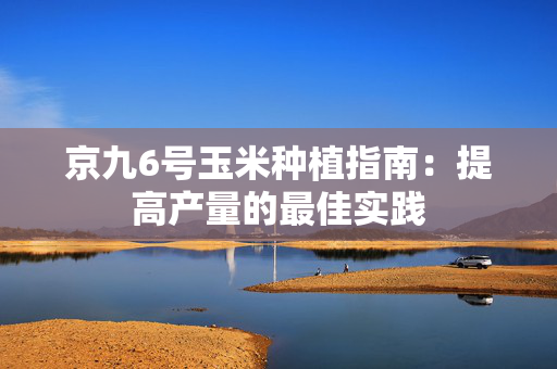 京九6号玉米种植指南：提高产量的最佳实践
