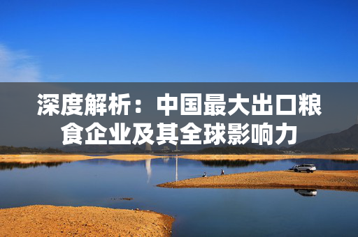深度解析：中国最大出口粮食企业及其全球影响力