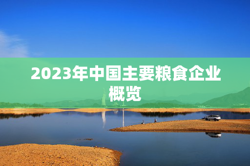 2023年中国主要粮食企业概览