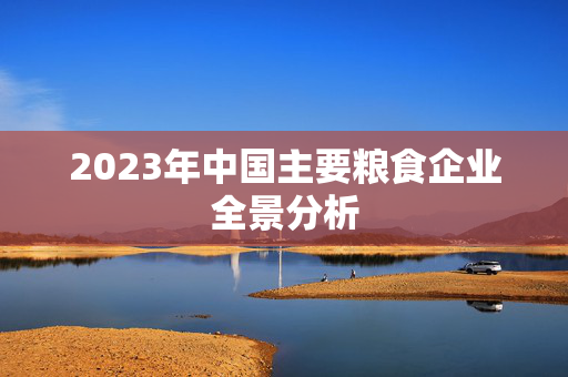 2023年中国主要粮食企业全景分析