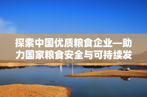 探索中国优质粮食企业—助力国家粮食安全与可持续发展