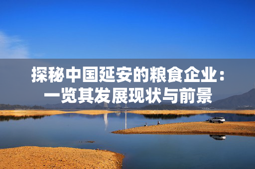 探秘中国延安的粮食企业：一览其发展现状与前景
