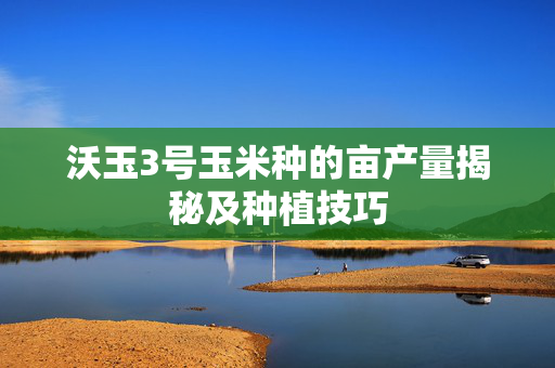 沃玉3号玉米种的亩产量揭秘及种植技巧