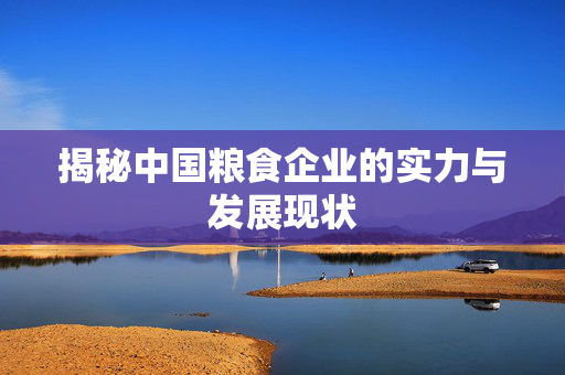 揭秘中国粮食企业的实力与发展现状