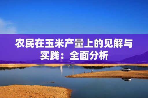 农民在玉米产量上的见解与实践：全面分析