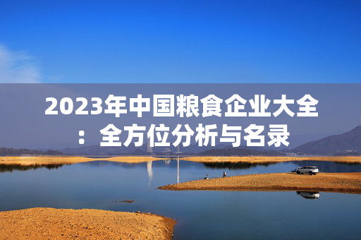 2023年中国粮食企业大全：全方位分析与名录