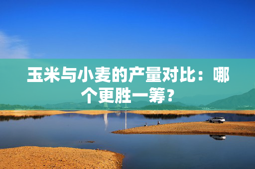 玉米与小麦的产量对比：哪个更胜一筹？
