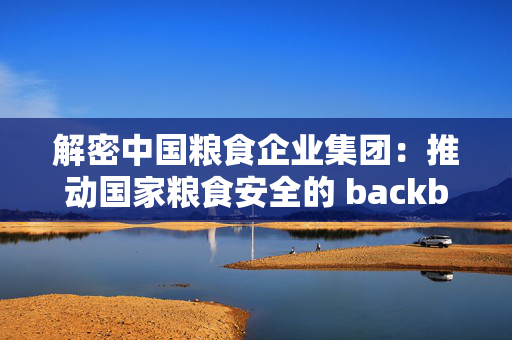 解密中国粮食企业集团：推动国家粮食安全的 backbone