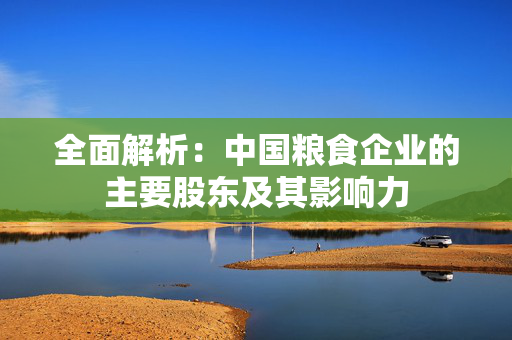 全面解析：中国粮食企业的主要股东及其影响力