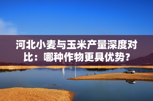 河北小麦与玉米产量深度对比：哪种作物更具优势？