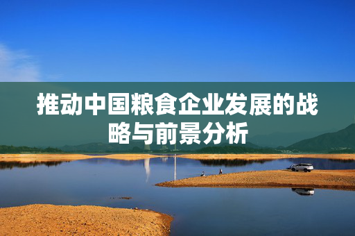 推动中国粮食企业发展的战略与前景分析