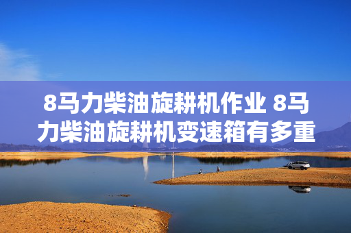 8马力柴油旋耕机作业 8马力柴油旋耕机变速箱有多重？