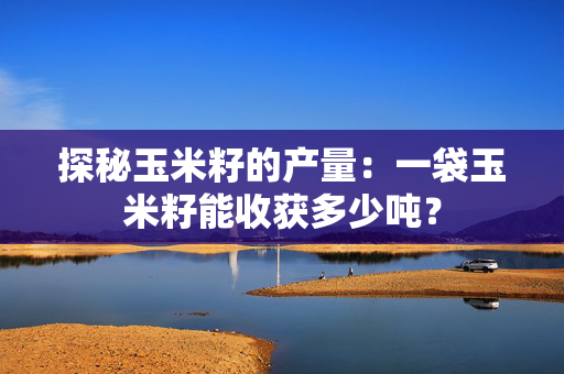 探秘玉米籽的产量：一袋玉米籽能收获多少吨？