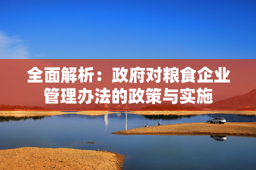 全面解析：政府对粮食企业管理办法的政策与实施