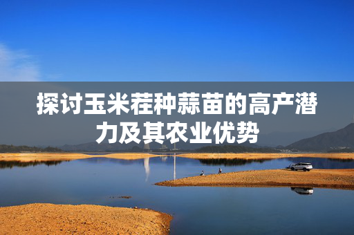 探讨玉米茬种蒜苗的高产潜力及其农业优势