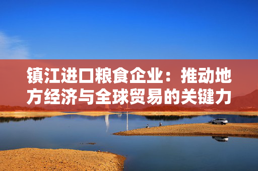 镇江进口粮食企业：推动地方经济与全球贸易的关键力量