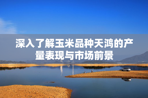 深入了解玉米品种天鸿的产量表现与市场前景