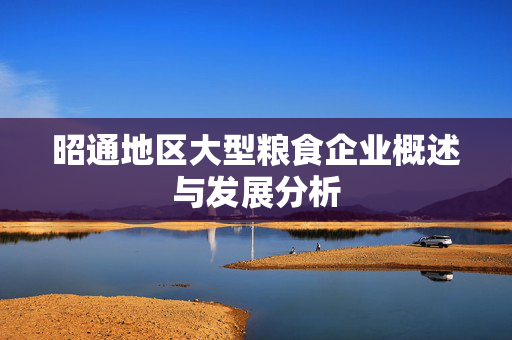 昭通地区大型粮食企业概述与发展分析