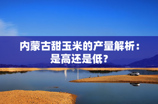 内蒙古甜玉米的产量解析：是高还是低？