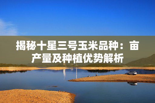 揭秘十星三号玉米品种：亩产量及种植优势解析