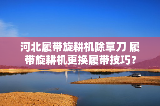 河北履带旋耕机除草刀 履带旋耕机更换履带技巧？