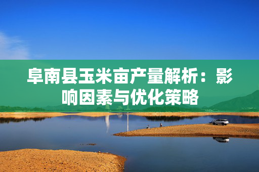 阜南县玉米亩产量解析：影响因素与优化策略