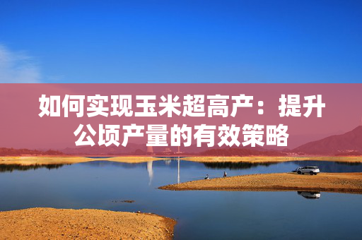 如何实现玉米超高产：提升公顷产量的有效策略