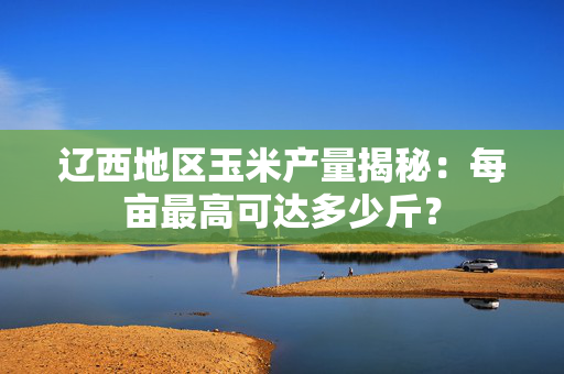 辽西地区玉米产量揭秘：每亩最高可达多少斤？