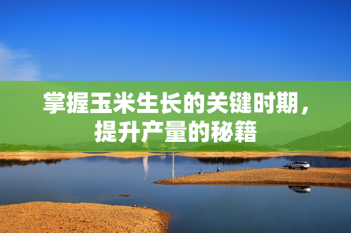 掌握玉米生长的关键时期，提升产量的秘籍
