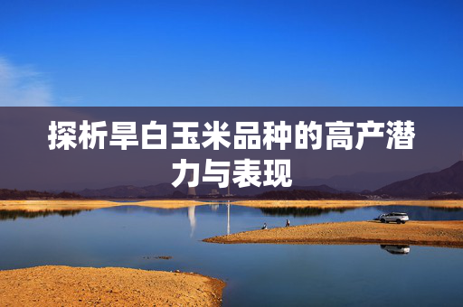 探析旱白玉米品种的高产潜力与表现
