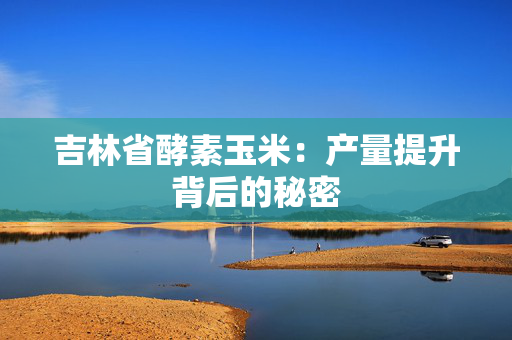 吉林省酵素玉米：产量提升背后的秘密