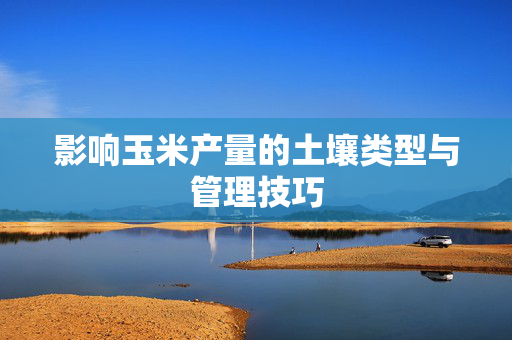 影响玉米产量的土壤类型与管理技巧